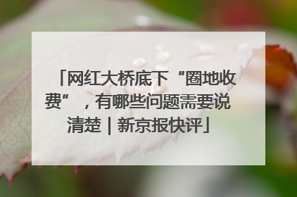 网红大桥底下“圈地收费”，有哪些问题需要说清楚｜新京报快评