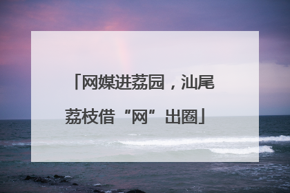 网媒进荔园，汕尾荔枝借“网”出圈