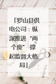 罗山县供电公司：纵深推进“两个度” 撑起监督大格局
