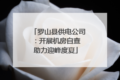 罗山县供电公司：开展机房自查 助力迎峰度夏