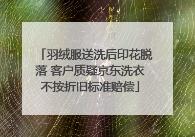 羽绒服送洗后印花脱落 客户质疑京东洗衣不按折旧标准赔偿