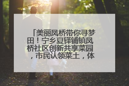 美丽凤桥带你寻梦田！宁乡夏铎铺镇凤桥社区创新共享菜园，市民认领菜土，体验耕种收获乐趣