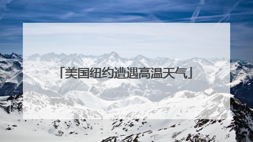 美国纽约遭遇高温天气
