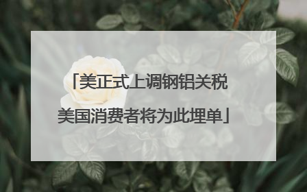 美正式上调钢铝关税 美国消费者将为此埋单