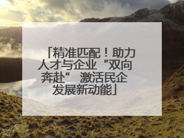 精准匹配！助力人才与企业“双向奔赴” 激活民企发展新动能