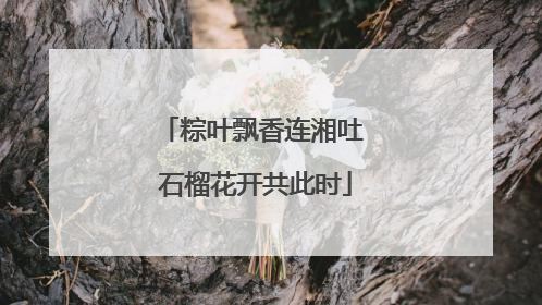 粽叶飘香连湘吐 石榴花开共此时