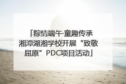 粽情端午·童趣传承 湘潭湖湘学校开展“致敬屈原”PDC项目活动