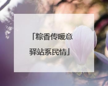 粽香传暖意 驿站系民情