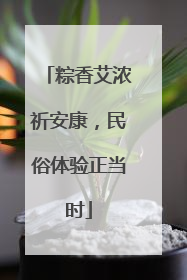 粽香艾浓祈安康，民俗体验正当时