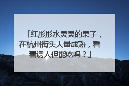 红彤彤水灵灵的果子，在杭州街头大量成熟，看着诱人但能吃吗？