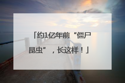 约1亿年前“僵尸昆虫”，长这样！