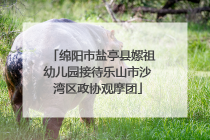 绵阳市盐亭县嫘祖幼儿园接待乐山市沙湾区政协观摩团