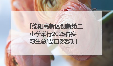 绵阳高新区创新第三小学举行2025春实习生总结汇报活动