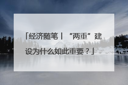 经济随笔丨“两重”建设为什么如此重要？