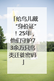 给鸟儿戴“身份证”！25年，他们守护73余万只鸟类迁徙密码