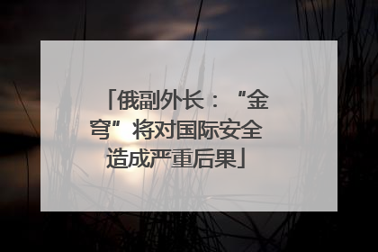 俄副外长：“金穹”将对国际安全造成严重后果