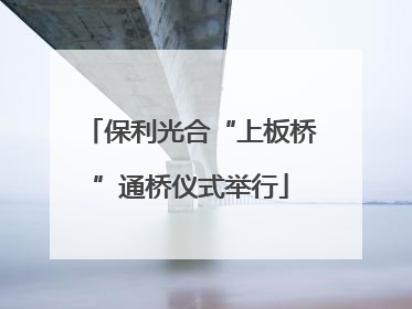 保利光合“上板桥”通桥仪式举行
