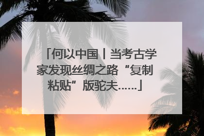 何以中国丨当考古学家发现丝绸之路“复制粘贴”版驼夫……