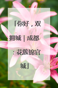 你好，双拥城｜成都：花簇锦官城