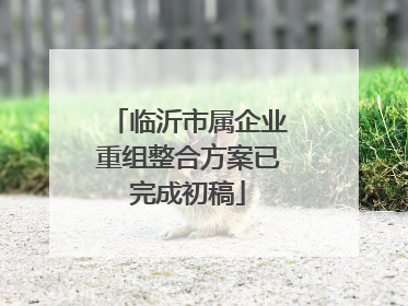 临沂市属企业重组整合方案已完成初稿