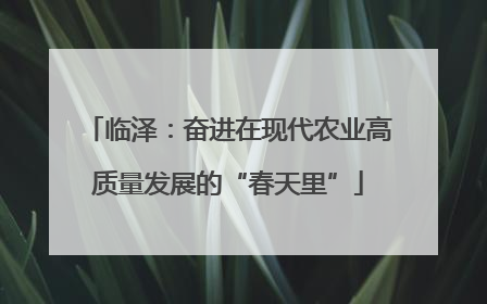 临泽：奋进在现代农业高质量发展的“春天里”