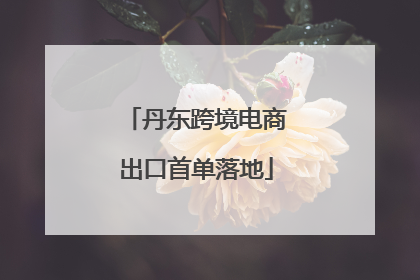 丹东跨境电商出口首单落地