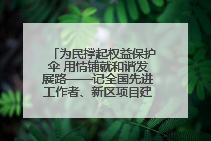 为民撑起权益保护伞 用情铺就和谐发展路——记全国先进工作者、新区项目建设中心干部卢小勇