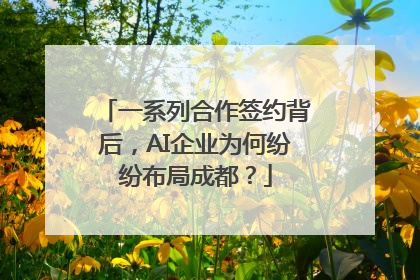 一系列合作签约背后，AI企业为何纷纷布局成都？