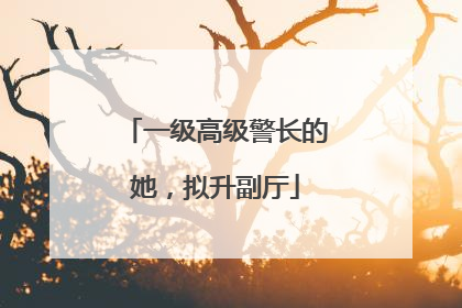 一级高级警长的她，拟升副厅
