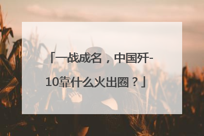 一战成名，中国歼-10靠什么火出圈？