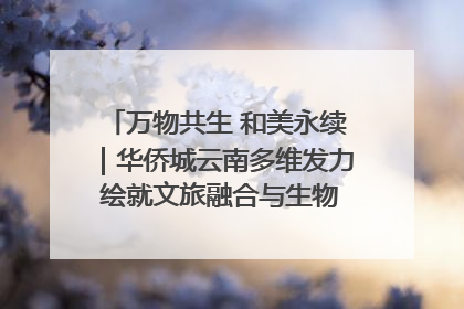 万物共生 和美永续｜华侨城云南多维发力 绘就文旅融合与生物多样性保护新图景