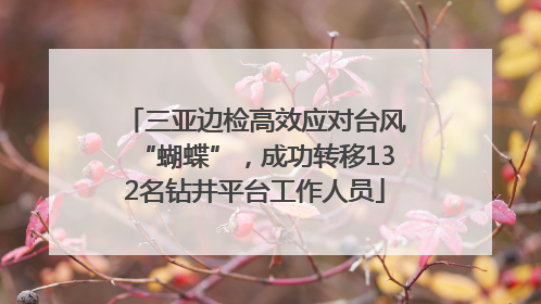 三亚边检高效应对台风“蝴蝶”，成功转移132名钻井平台工作人员