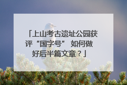 上山考古遗址公园获评“国字号” 如何做好后半篇文章？