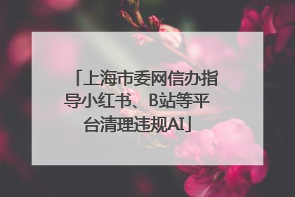 上海市委网信办指导小红书、B站等平台清理违规AI