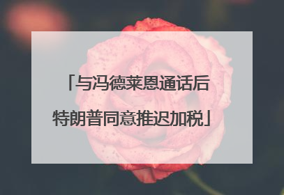 与冯德莱恩通话后 特朗普同意推迟加税