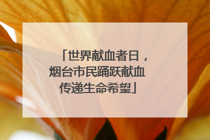 世界献血者日，烟台市民踊跃献血传递生命希望