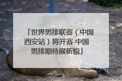 世界男排联赛（中国西安站）将开赛 中国男排期待展新貌