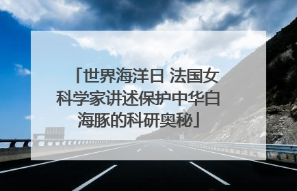 世界海洋日 法国女科学家讲述保护中华白海豚的科研奥秘