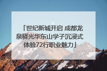 世纪新城开启 成都龙泉驿光华东山学子沉浸式体验72行职业魅力