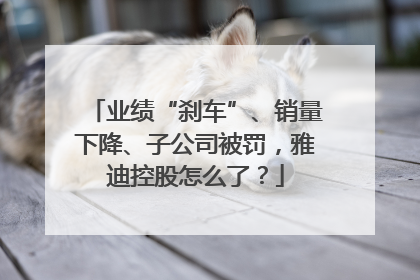 业绩“刹车”、销量下降、子公司被罚，雅迪控股怎么了？