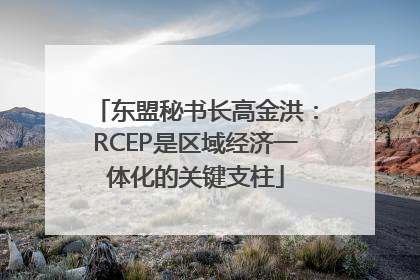 东盟秘书长高金洪：RCEP是区域经济一体化的关键支柱