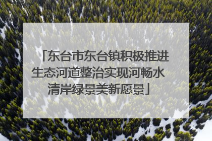 东台市东台镇积极推进生态河道整治实现河畅水清岸绿景美新愿景