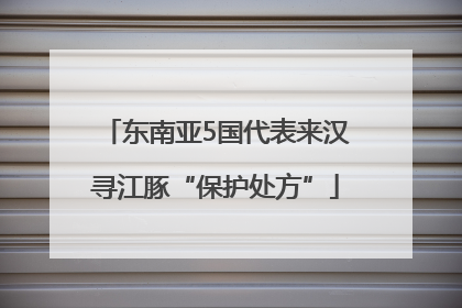 东南亚5国代表来汉寻江豚“保护处方”
