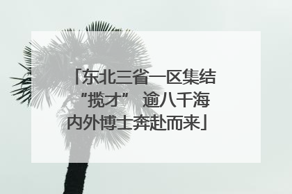 东北三省一区集结“揽才” 逾八千海内外博士奔赴而来