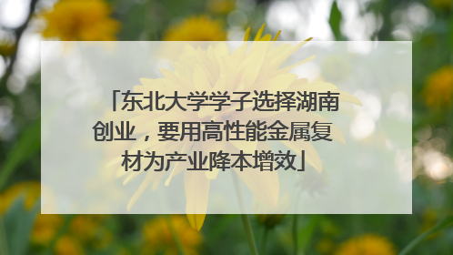 东北大学学子选择湖南创业，要用高性能金属复材为产业降本增效
