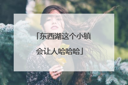 东西湖这个小镇会让人哈哈哈