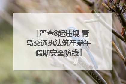 严查8起违规 青岛交通执法筑牢端午假期安全防线