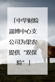 中华财险淄博中心支公司为果农提供“双保险”