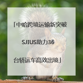 中哈跨境运输新突破 SJIUS助力36台轿运车高效出境