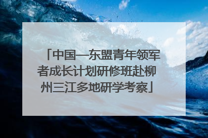 中国—东盟青年领军者成长计划研修班赴柳州三江多地研学考察